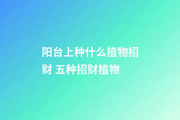 阳台上种什么植物招财 五种招财植物